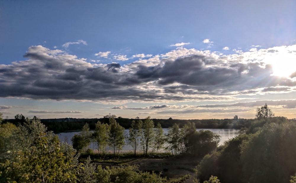 green trees near body of water under cloudy sky during daytime