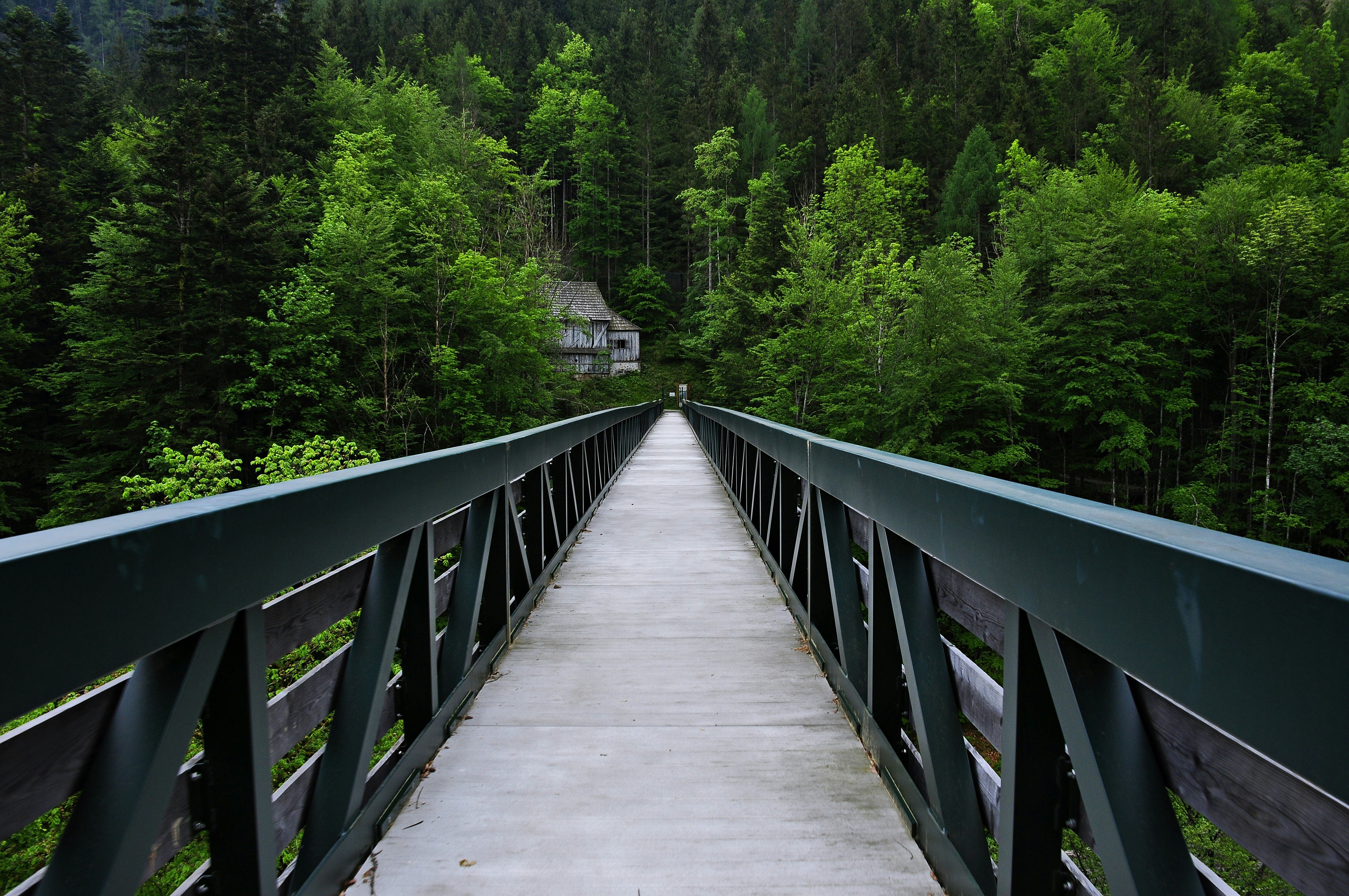 Scenic hiking trail near Höga Kusten Bridge