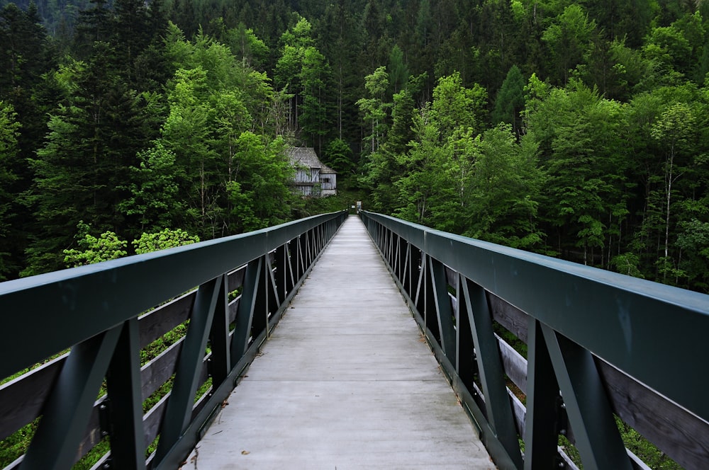 brown wooden bridge in the forest