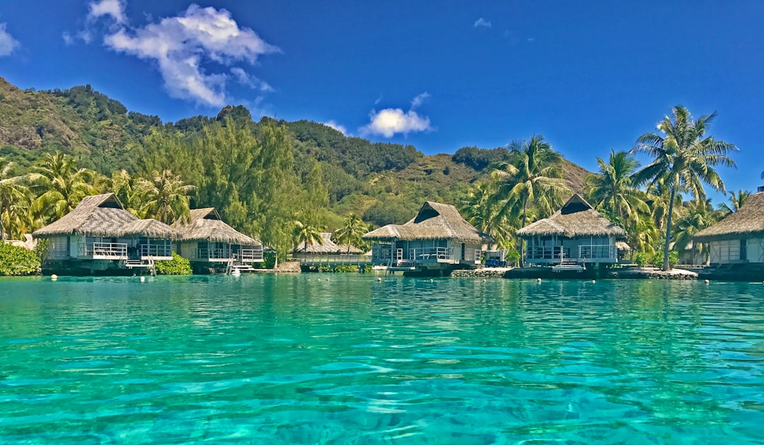 brown wooden houses on water near green mountain under blue sky during daytime