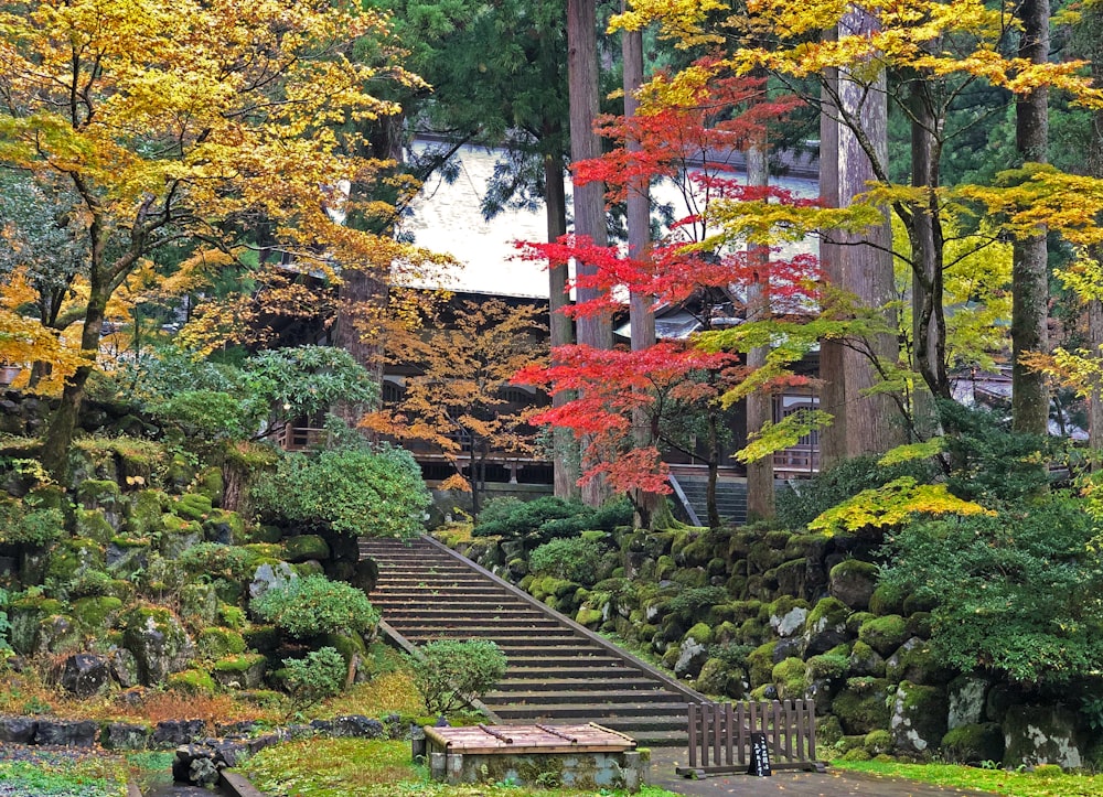 brown wooden bridge near green trees during daytime