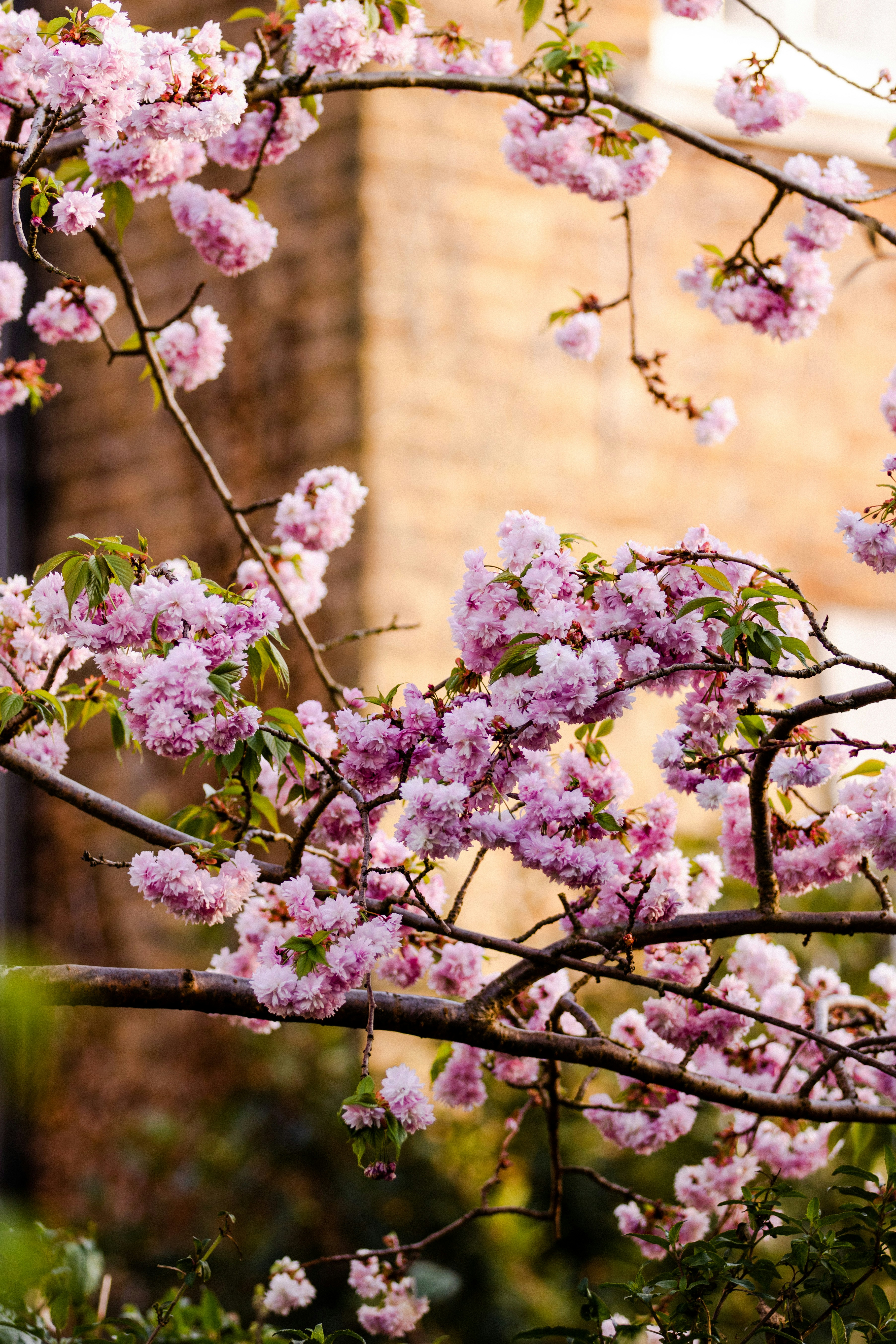 Photo by edwardhowellphotography