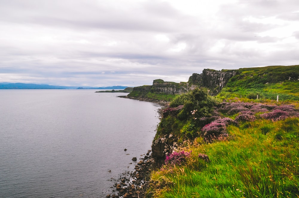 green grass on cliff by the sea under white clouds during daytime