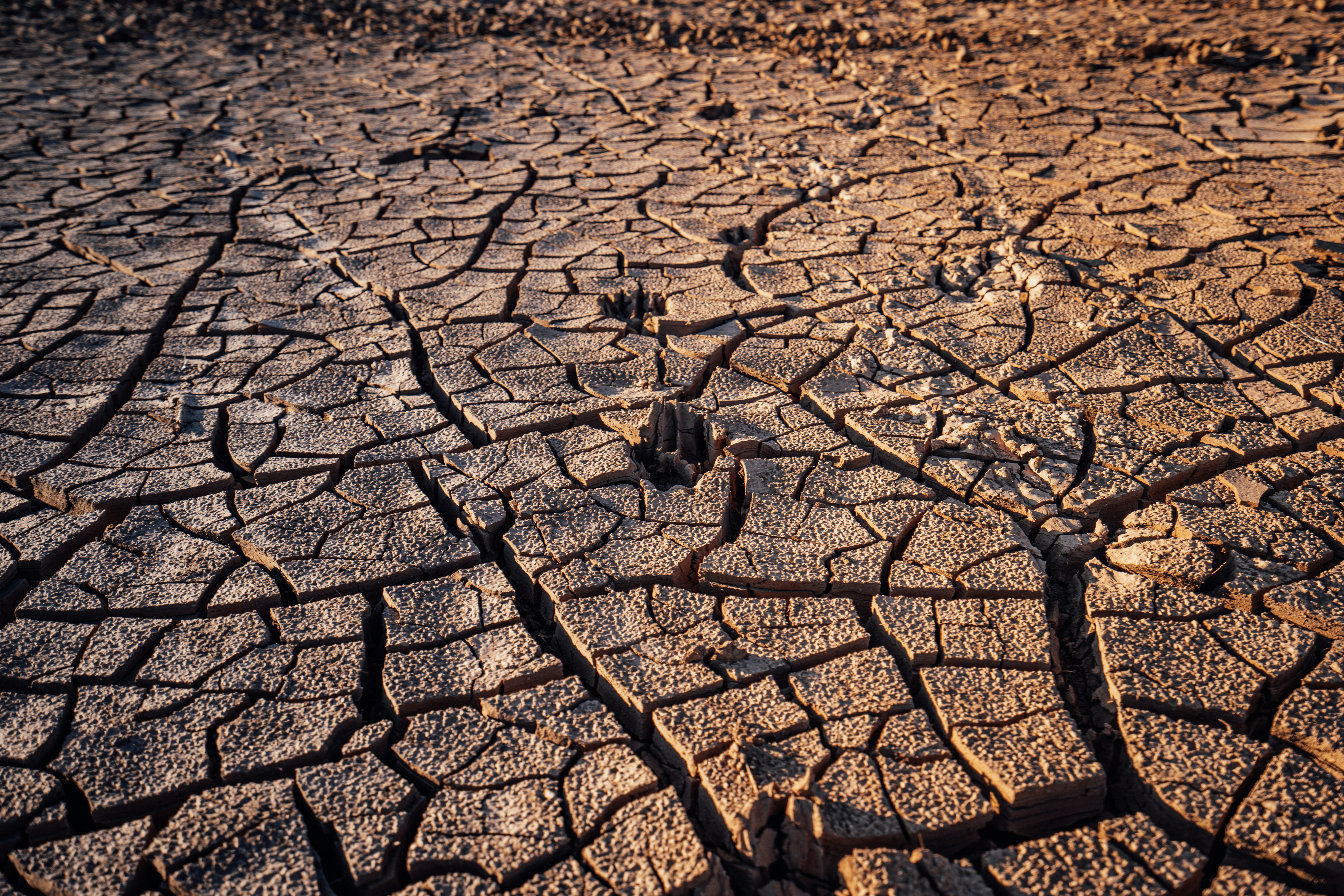 How Do I Deal With Soil Erosion In My Garden?