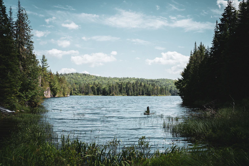 A person sitting on a rock in a still lake