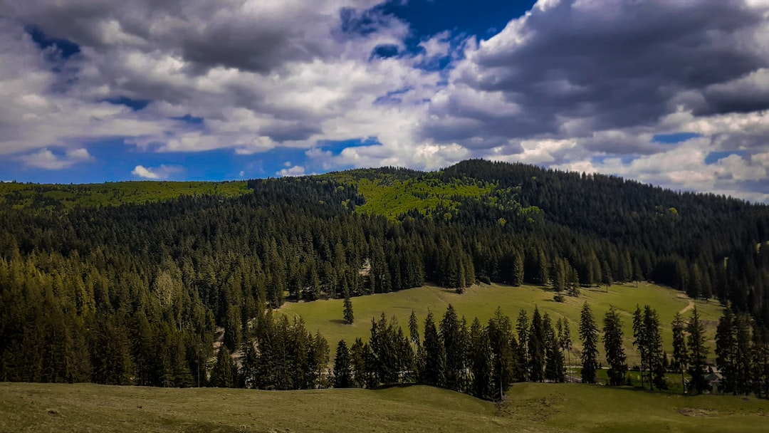 photo of Gura Humorului Hill near Dragomirna Monastery