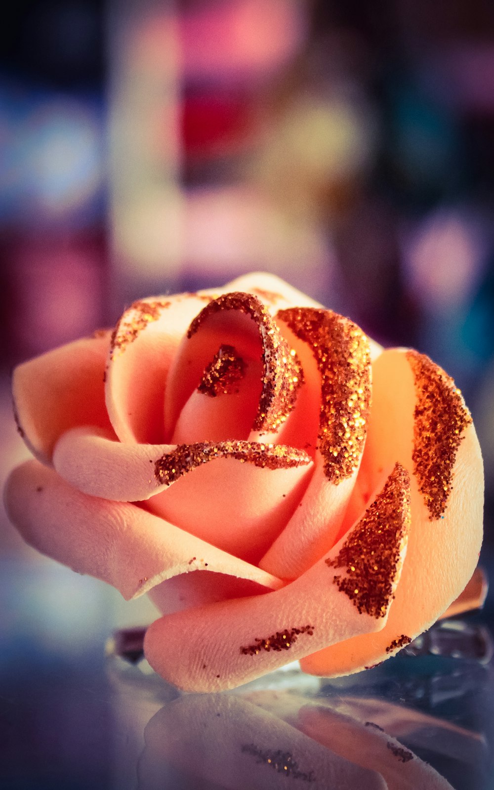 person holding brown and white flower