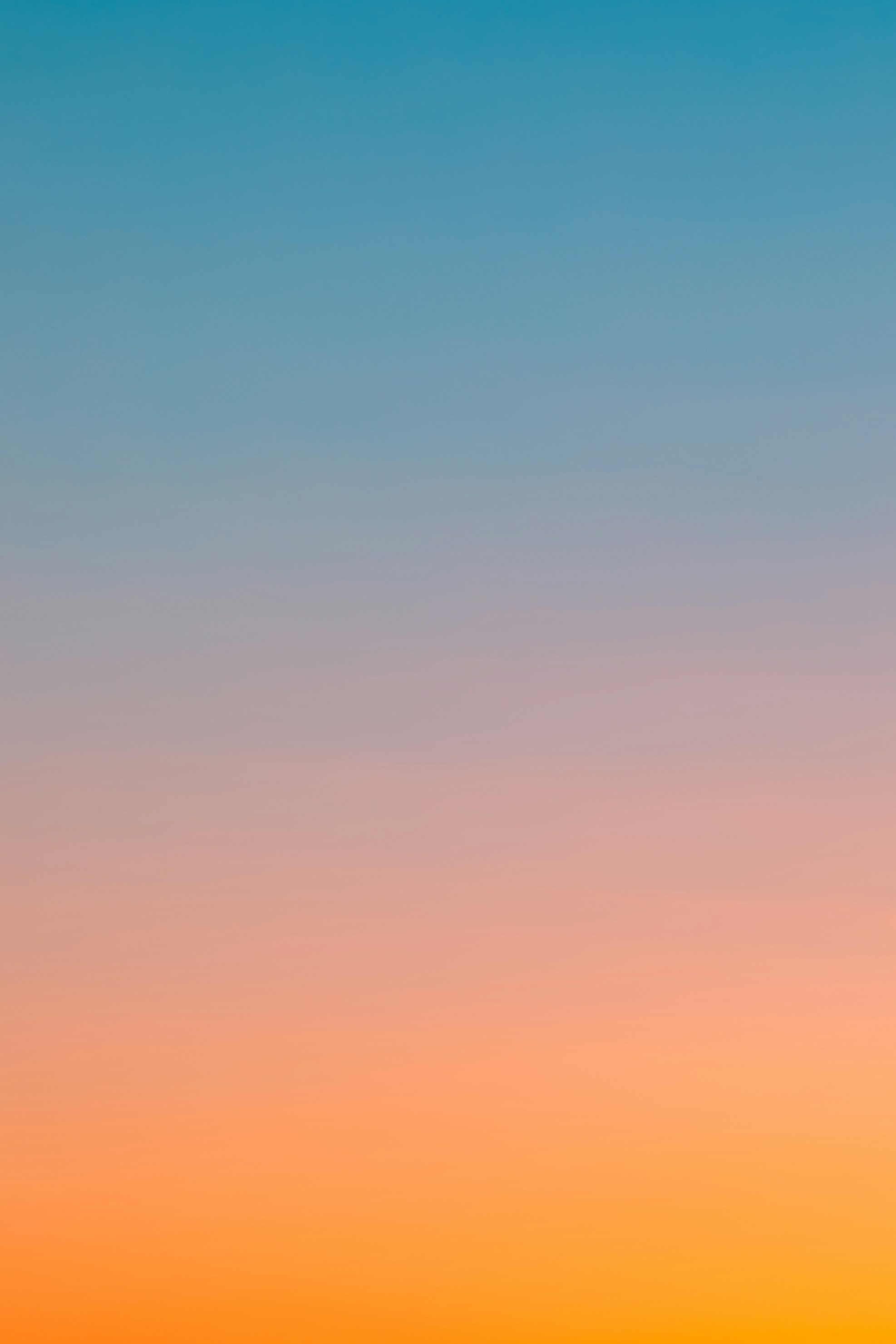 Animation montrant le processus de scan d'une carte avec reconnaissance instantanée et ajout à la collection numérique