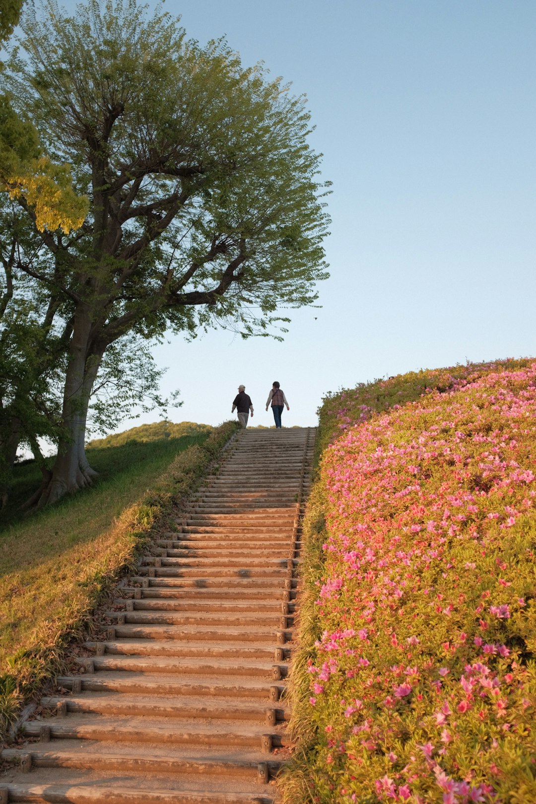 people walking on pathway between green grass field during daytime