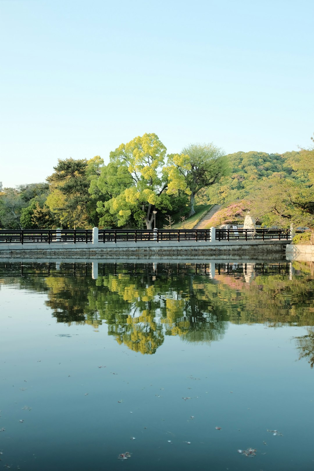 white and brown concrete bridge over river