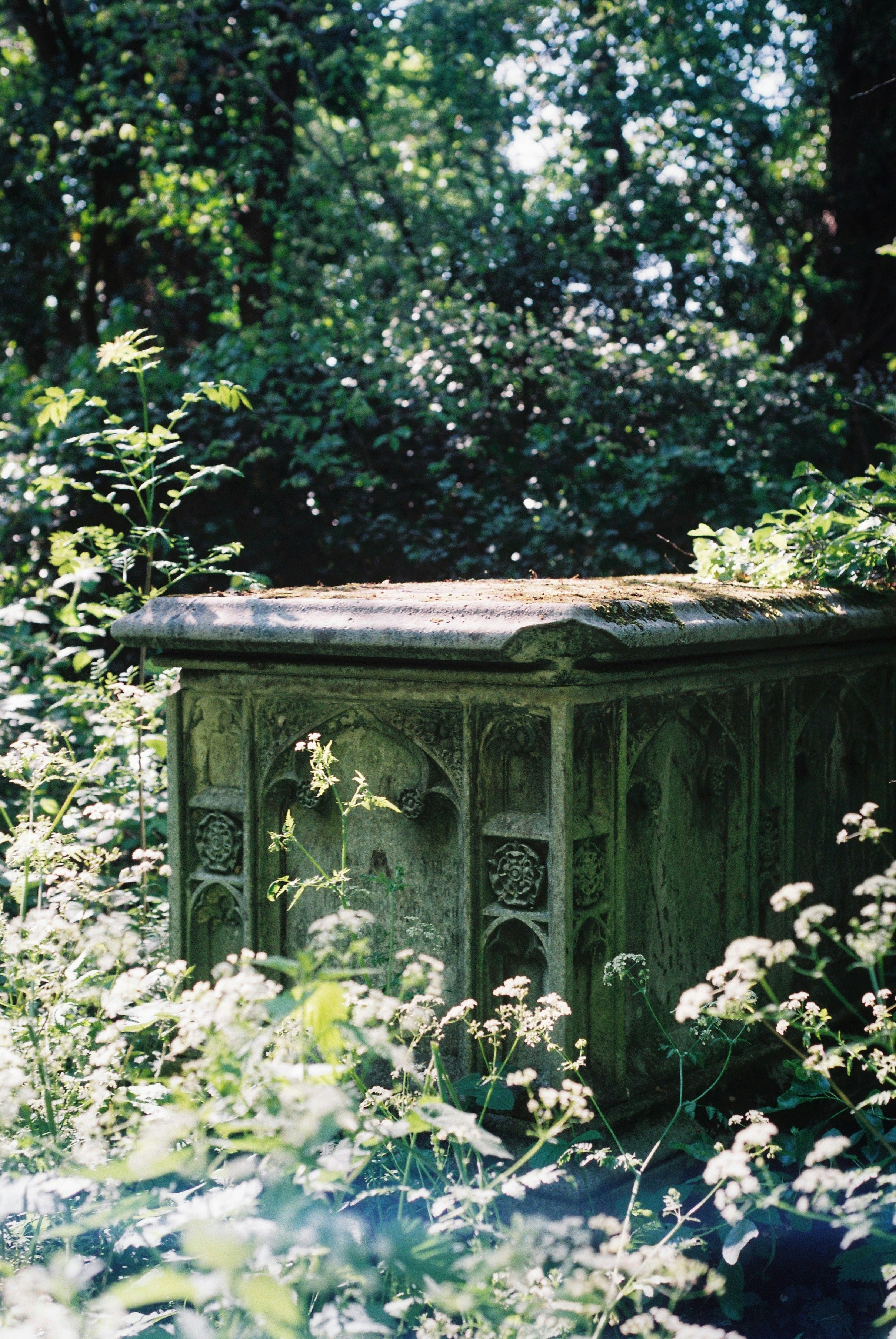 Photo by tomasrobertson