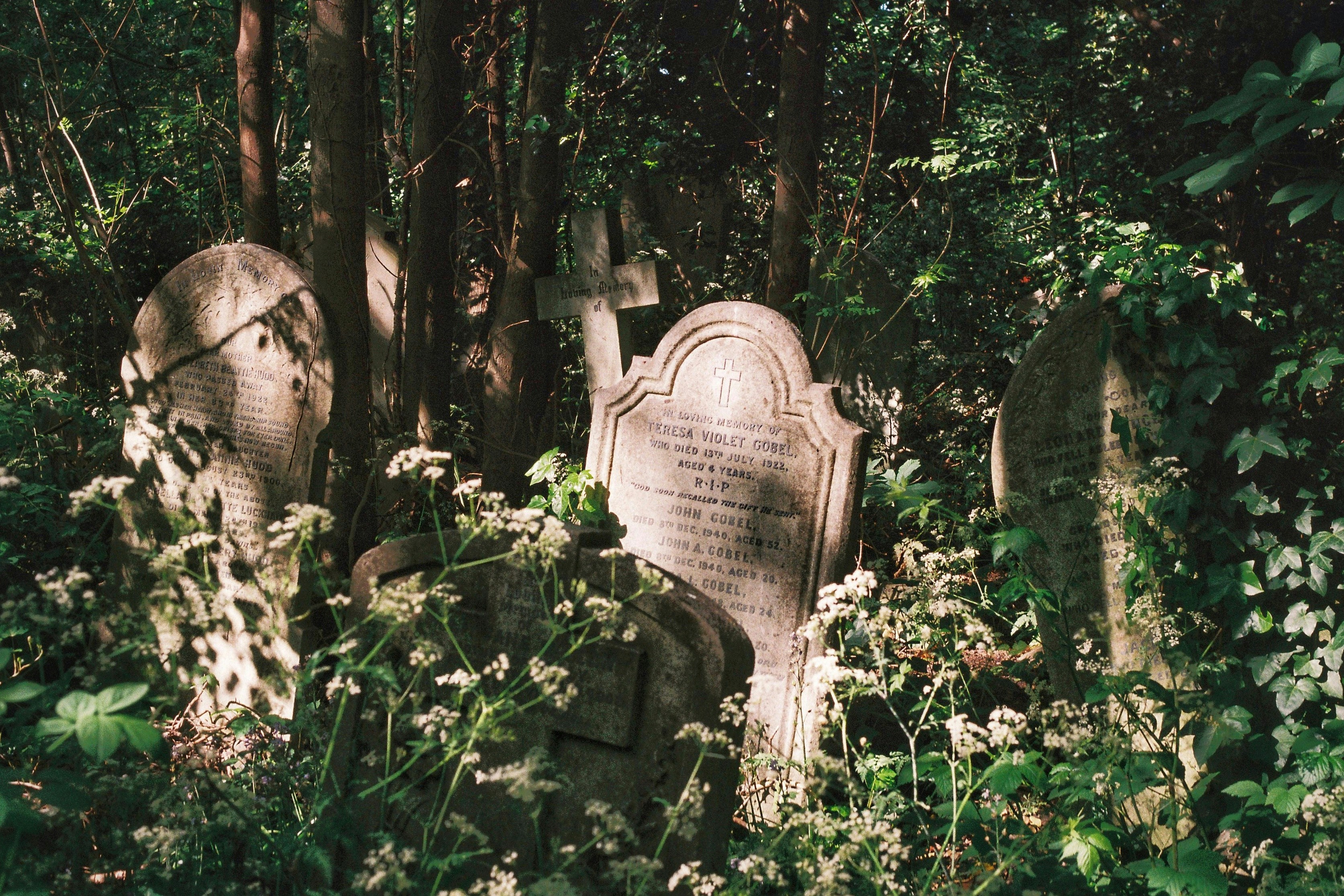 Photo by tomasrobertson