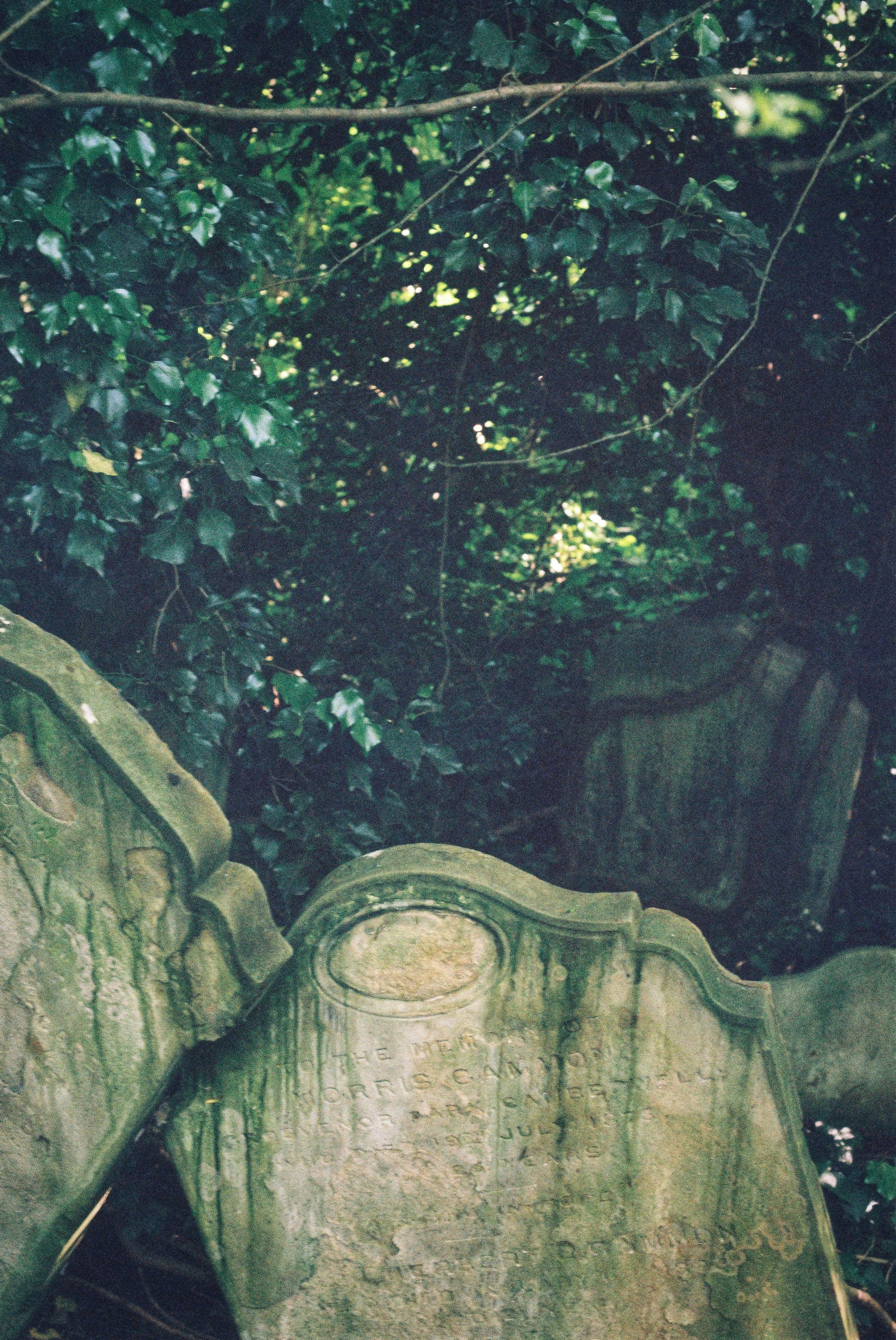 Photo by tomasrobertson