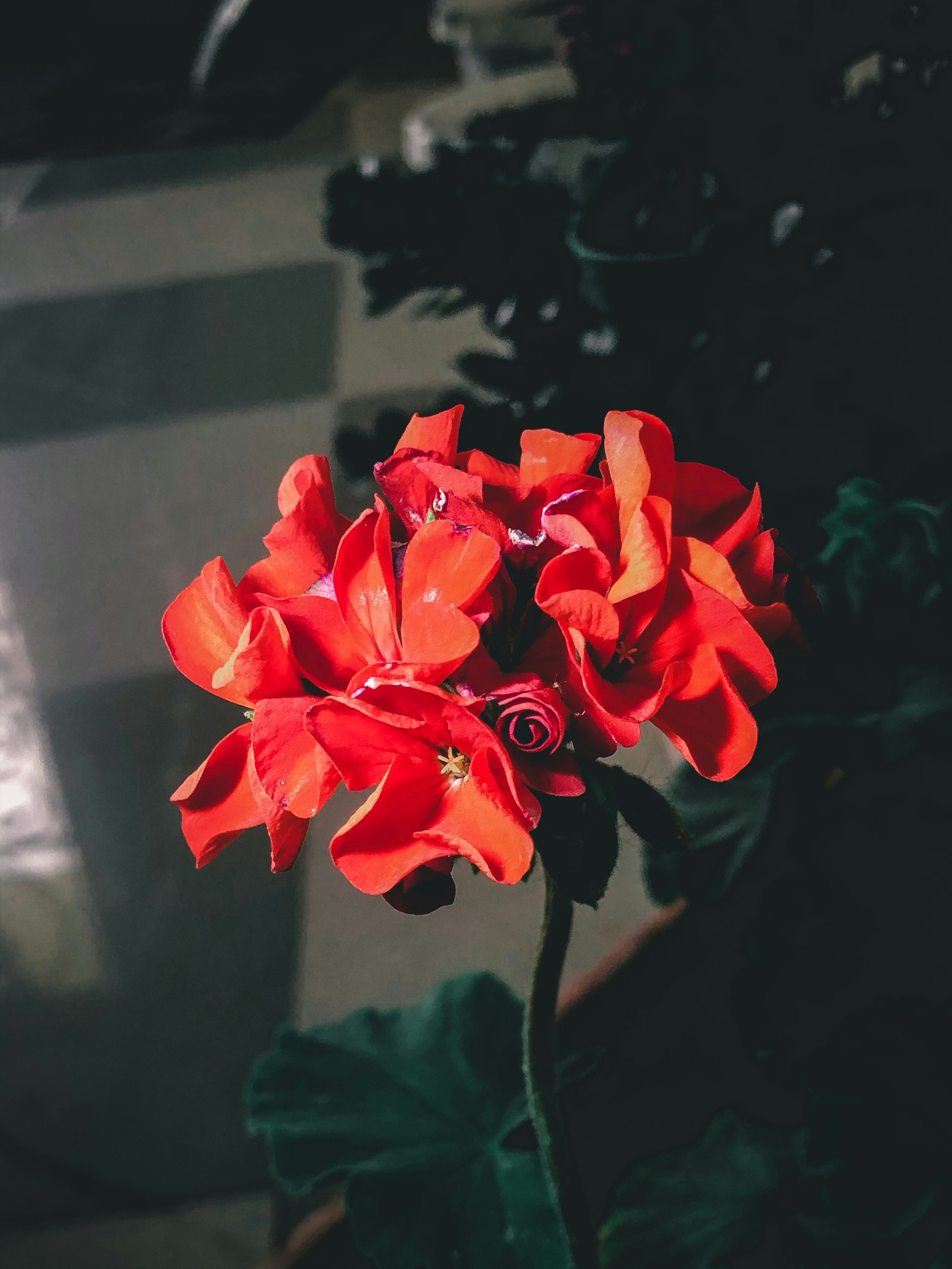 Photo by m9a8z
