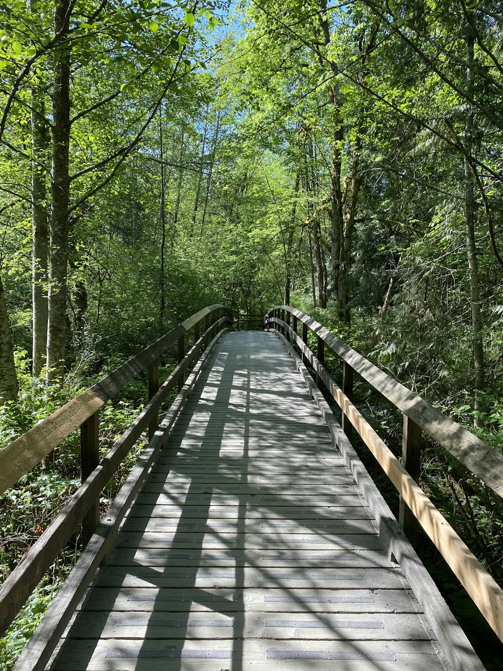 brown wooden bridge in the forest