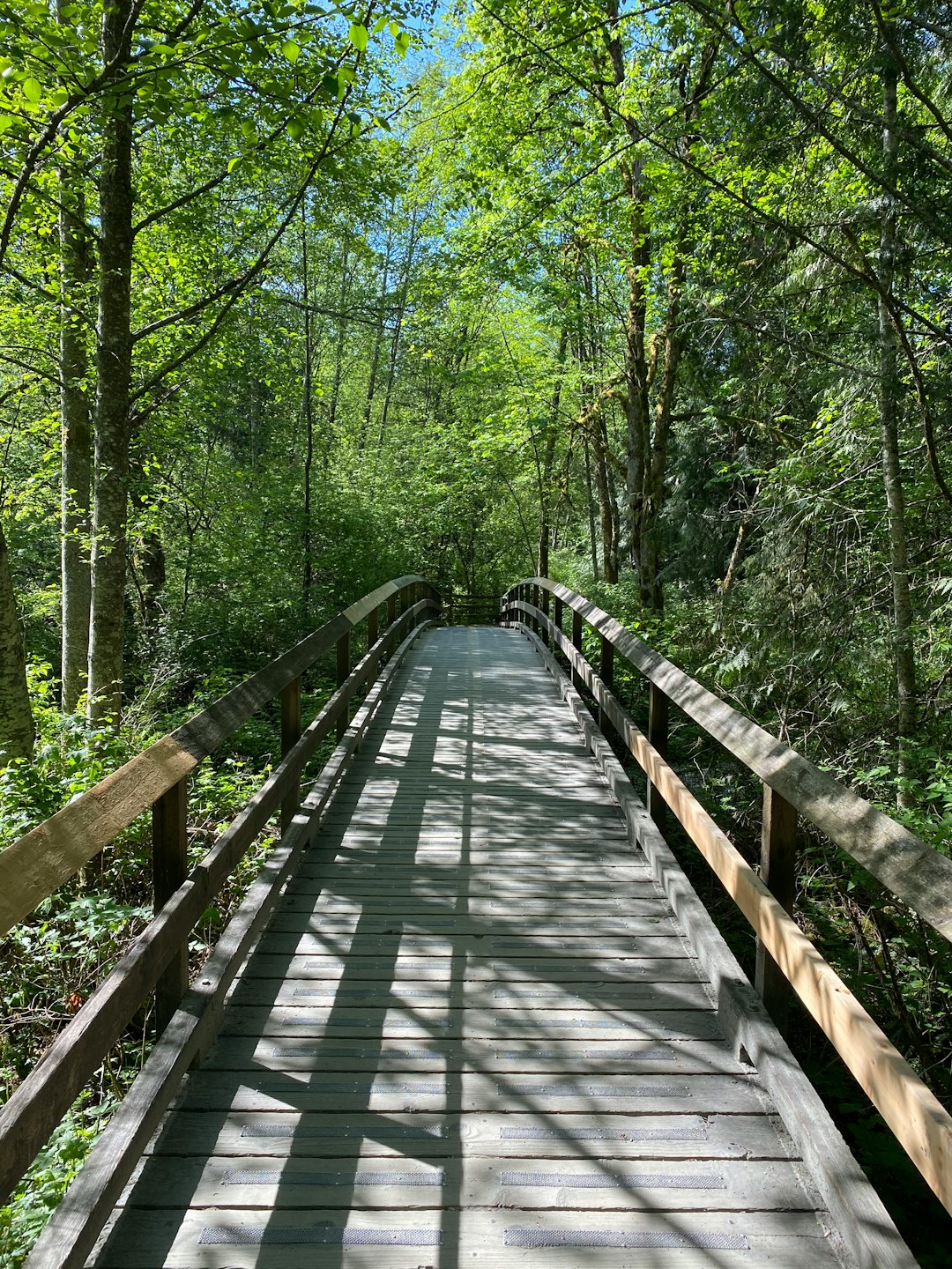 Bridge photo spot Tynehead Regional Park Lynn Headwaters Regional Park