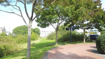 A paved pathway curves through a park, flanked by lush green trees and bushes. A signpost stands alongside the path, pointing towards various directions. In the background, there are residential buildings partially visible among the greenery. The scene is brightly lit, with shadows suggesting a sunny day.