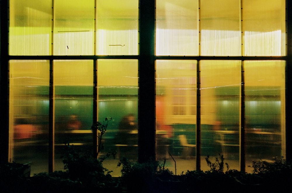 silhouette of trees in front of glass window