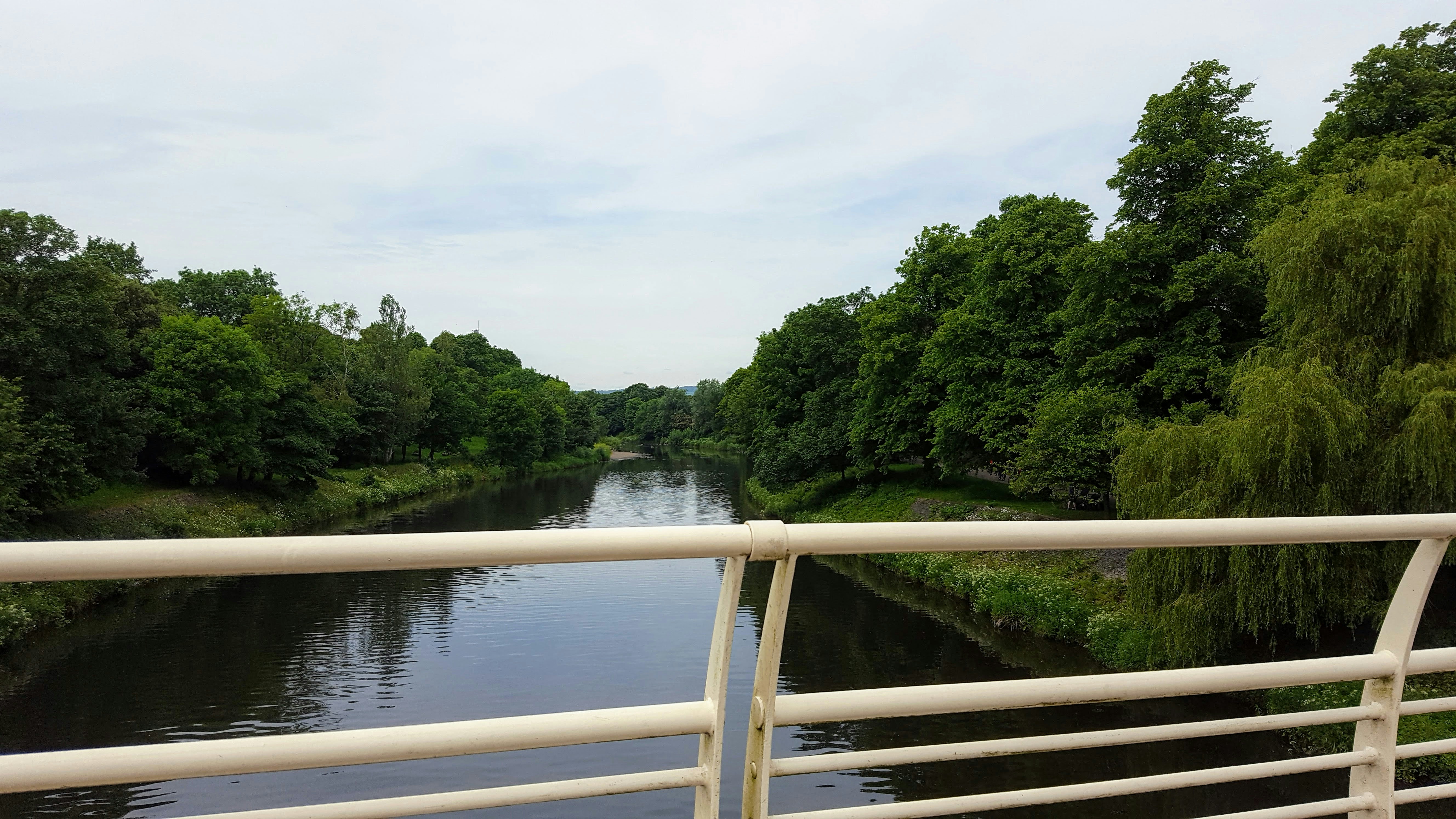 View from Bute Park Bridge
