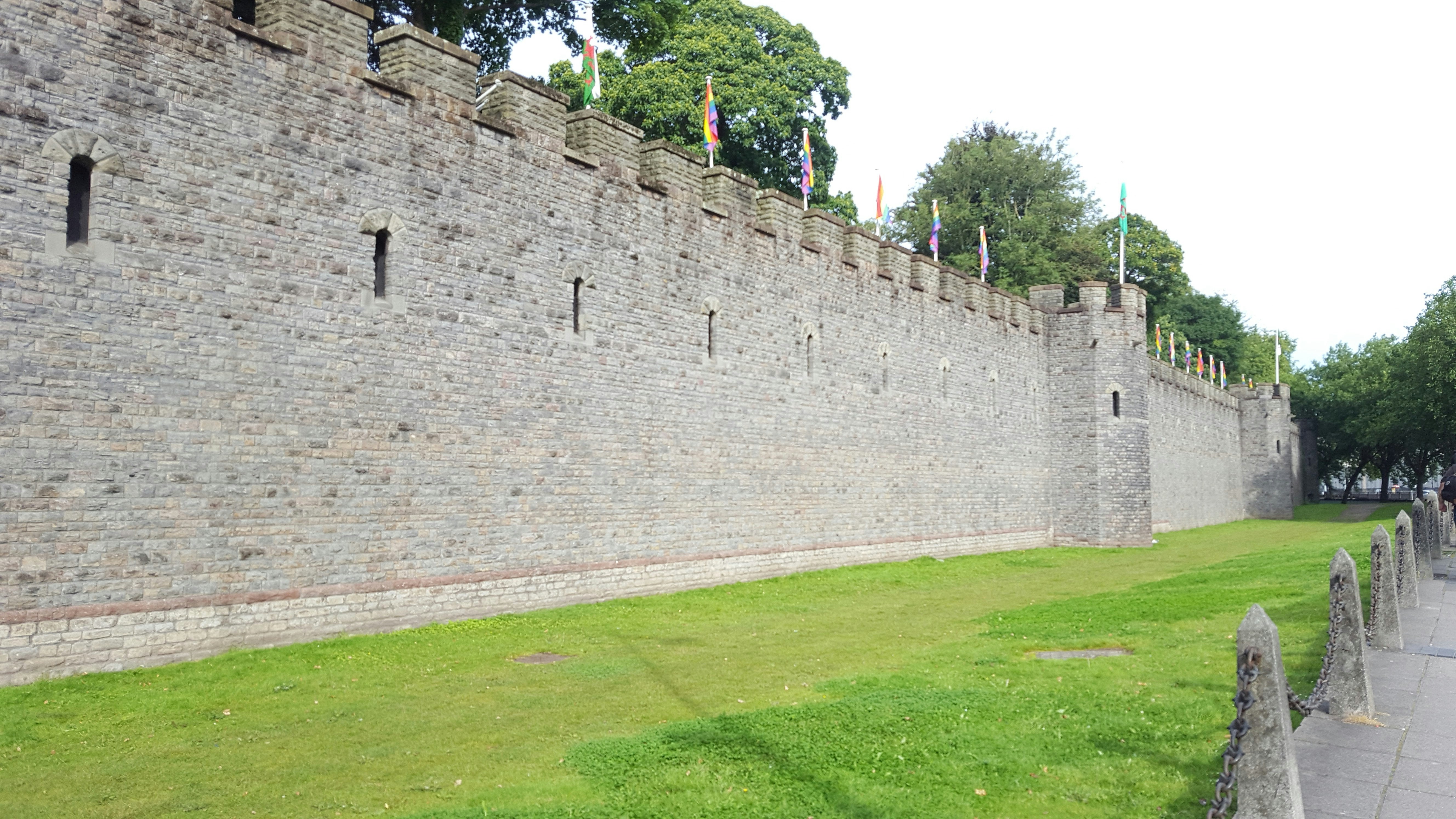  All yard maintenance