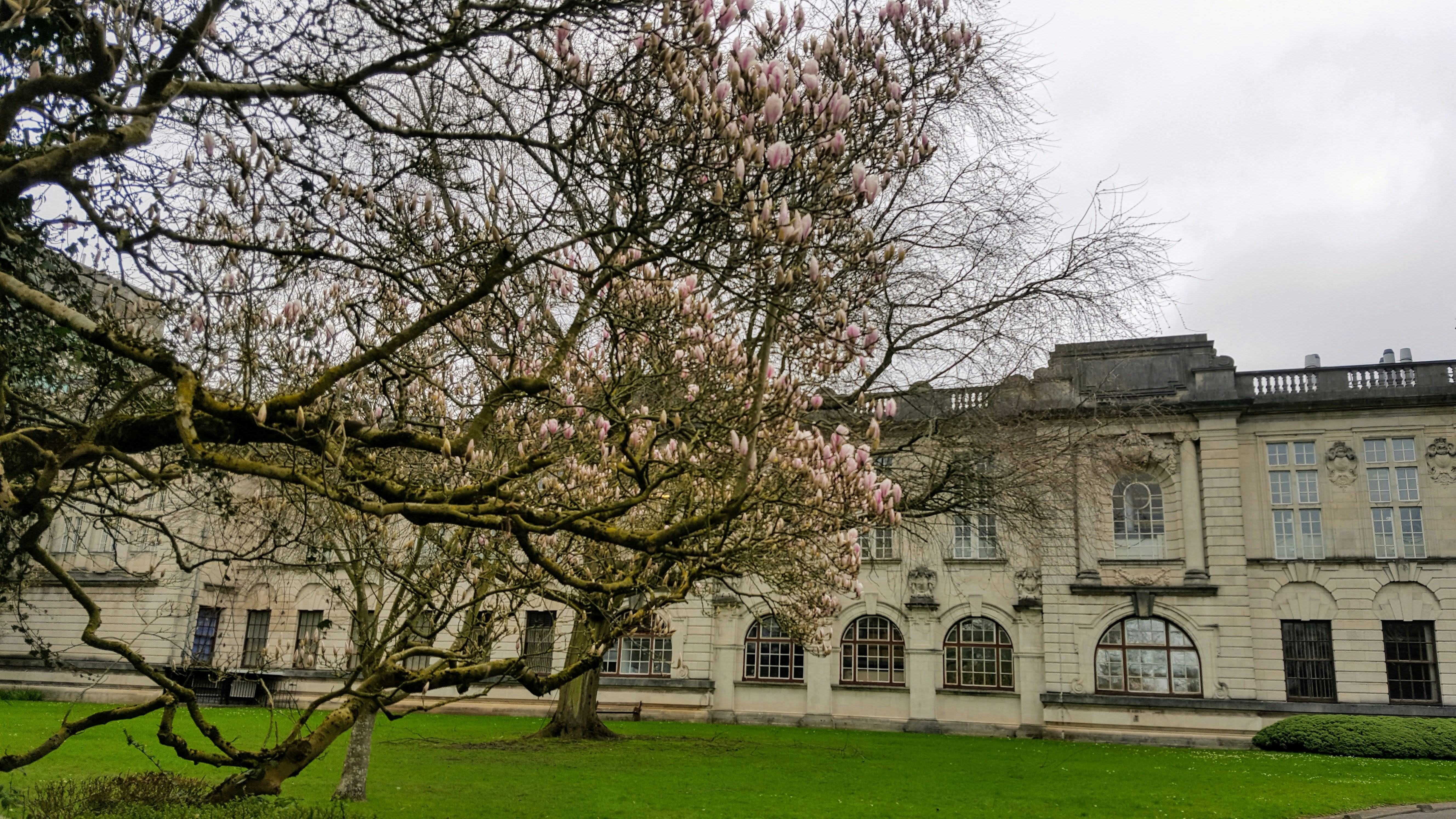 Cardiff University Building