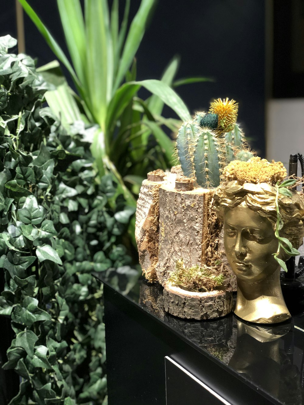 gold buddha figurine beside green plant