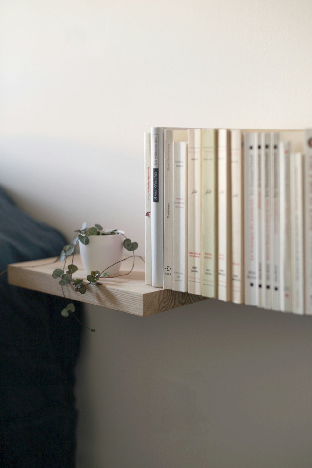 white and green flower on white wooden shelf