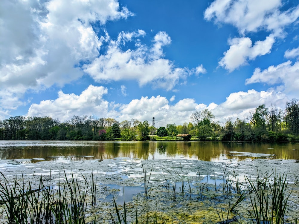 green trees beside body of water under blue sky and white clouds during daytime