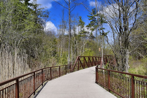 A serene walking path winding through a natural sanctuary under blue skies.
