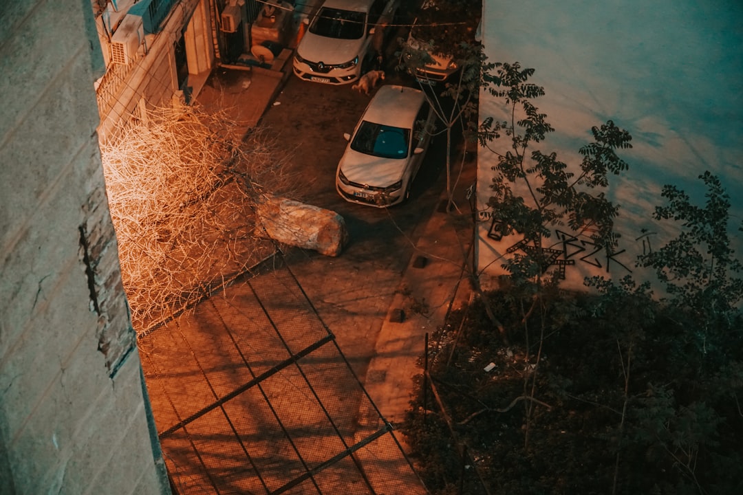 white car parked beside brown wooden fence