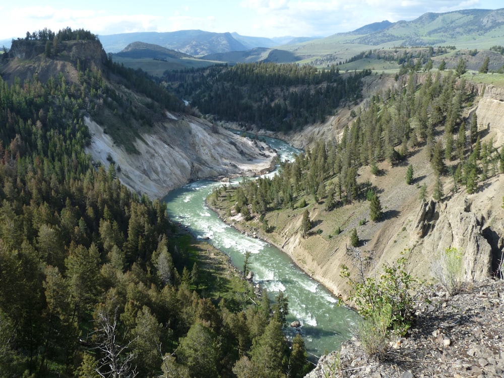 river between green trees and mountains during daytime