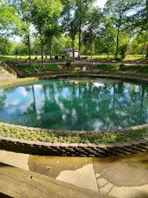 green trees beside swimming pool during daytime