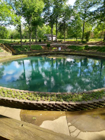green trees beside swimming pool during daytime
