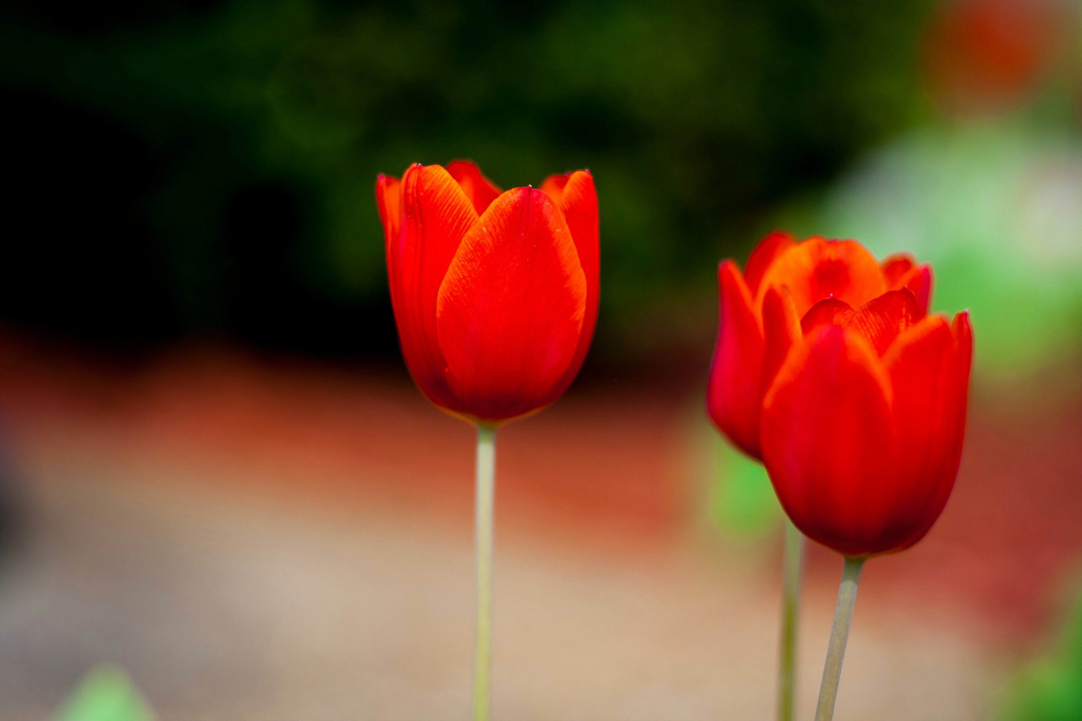 Photo by anupthukral