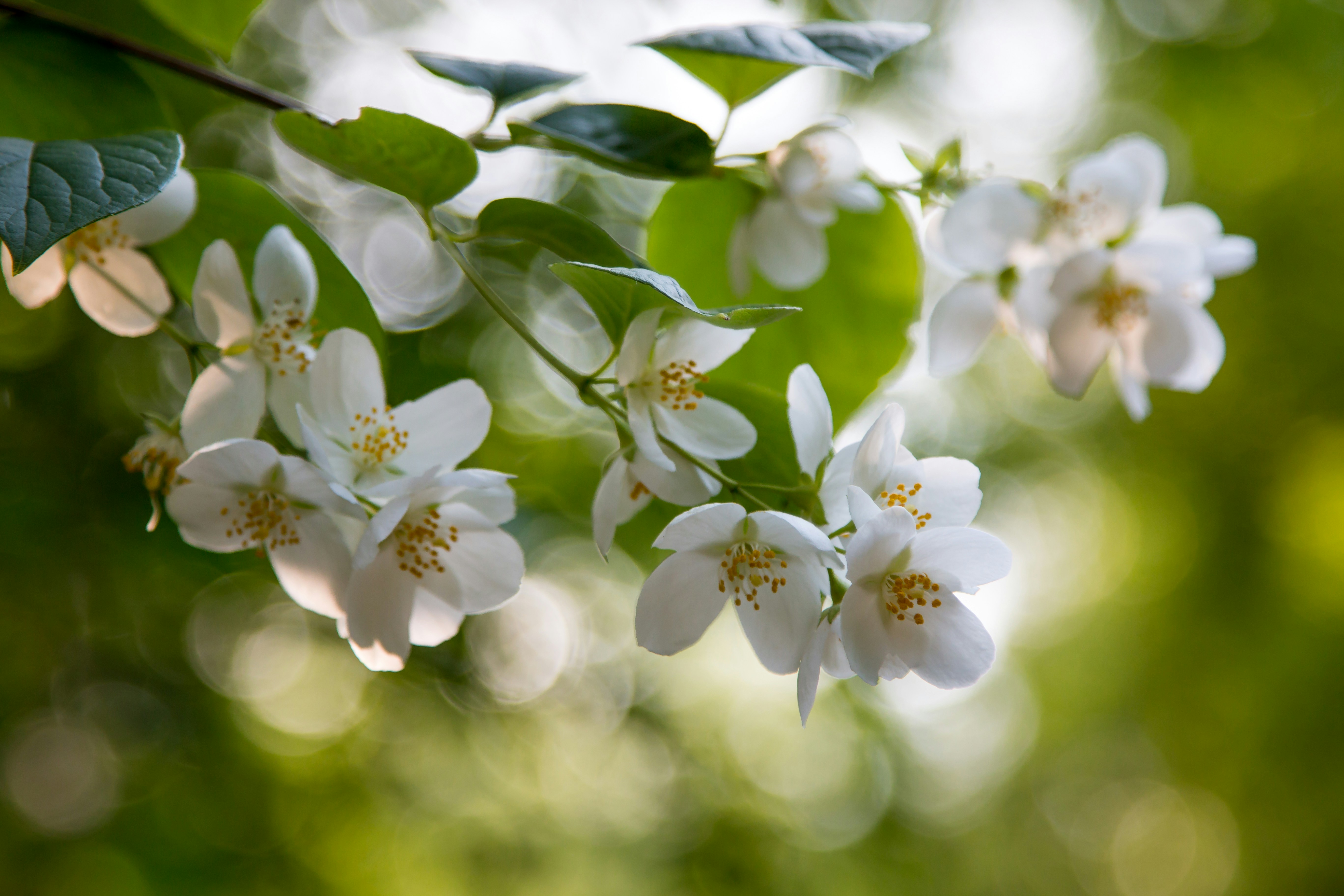 Photo by anupthukral