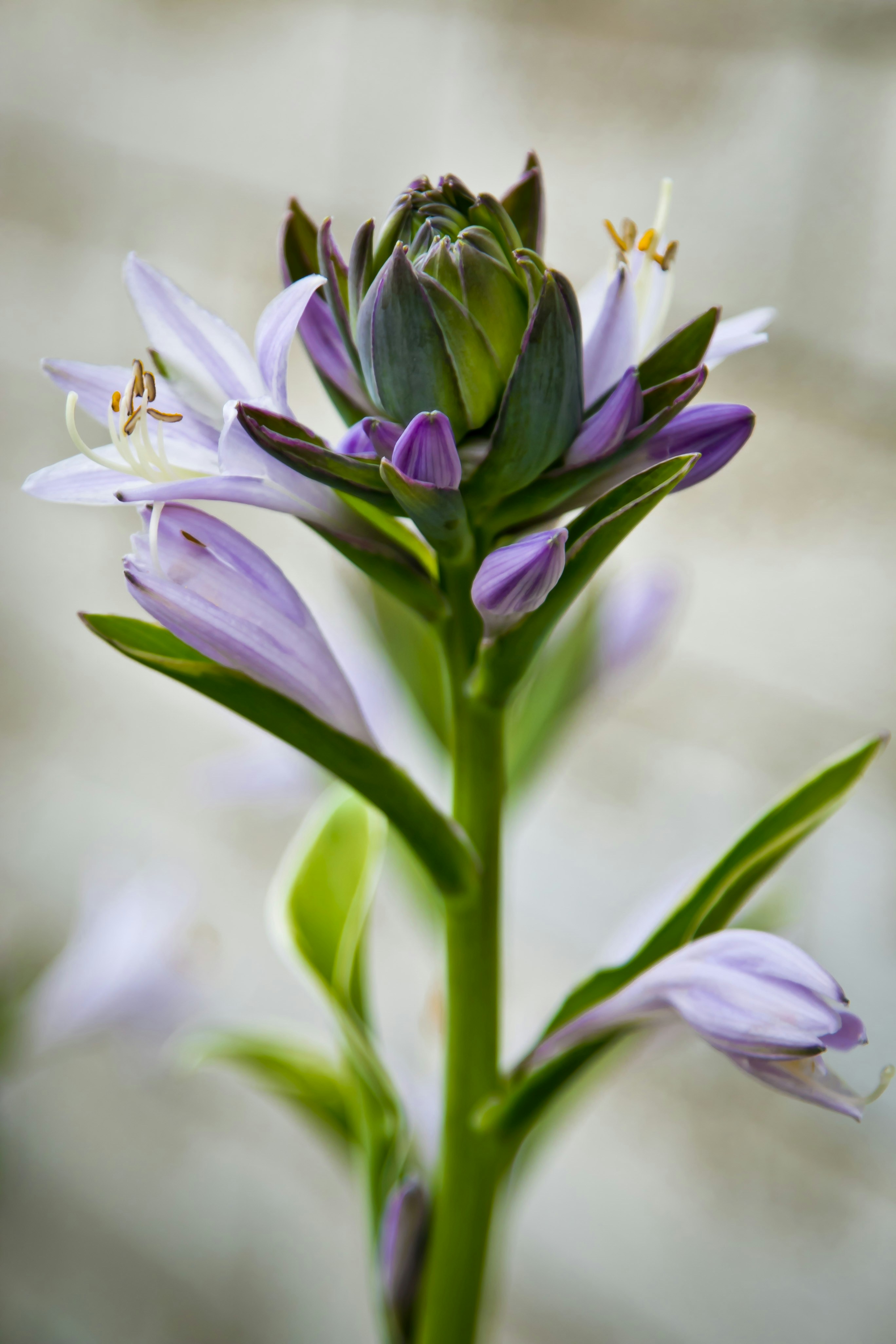 Photo by anupthukral