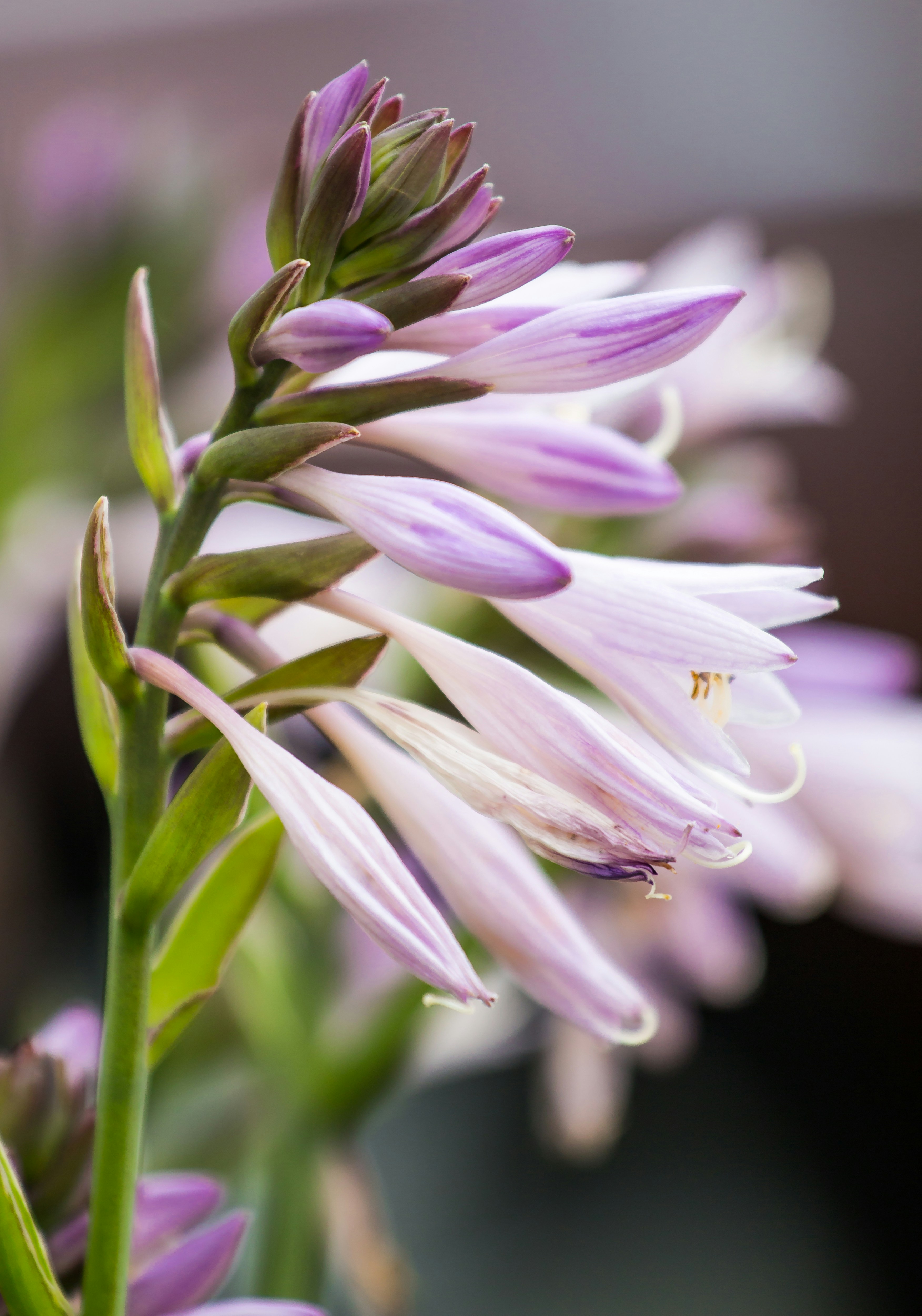 Photo by anupthukral