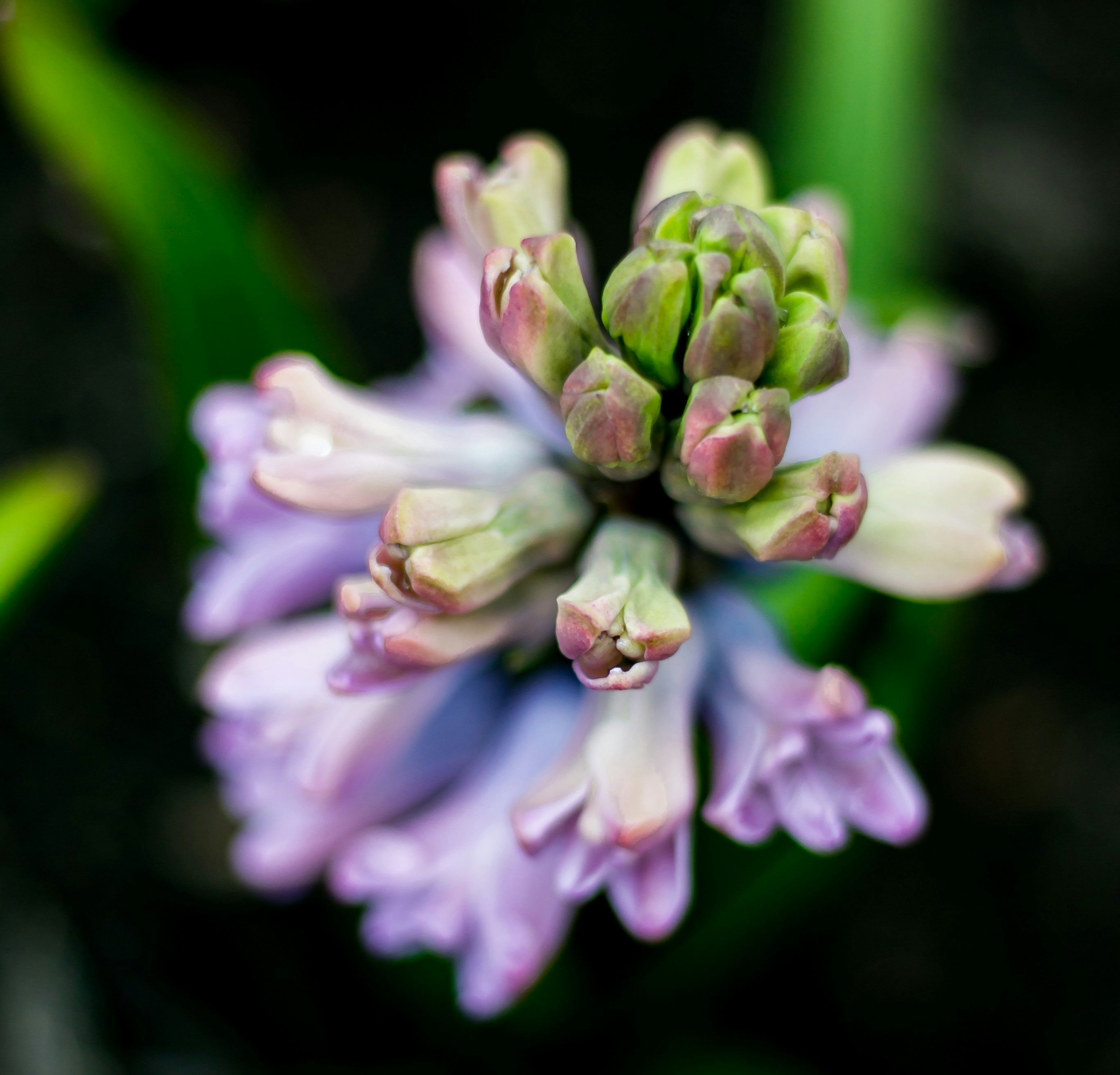 Photo by anupthukral
