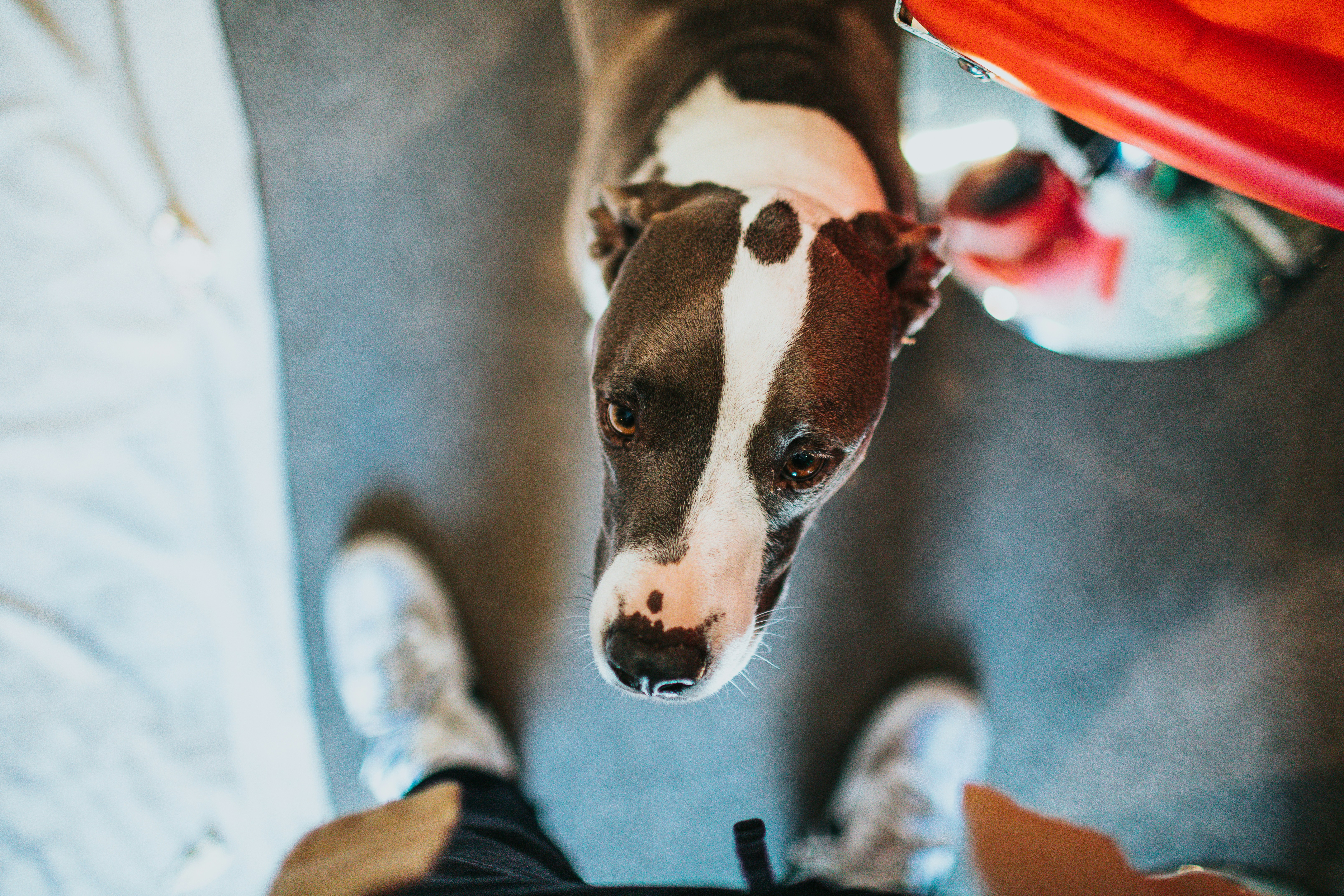 Photo by nate_dumlao