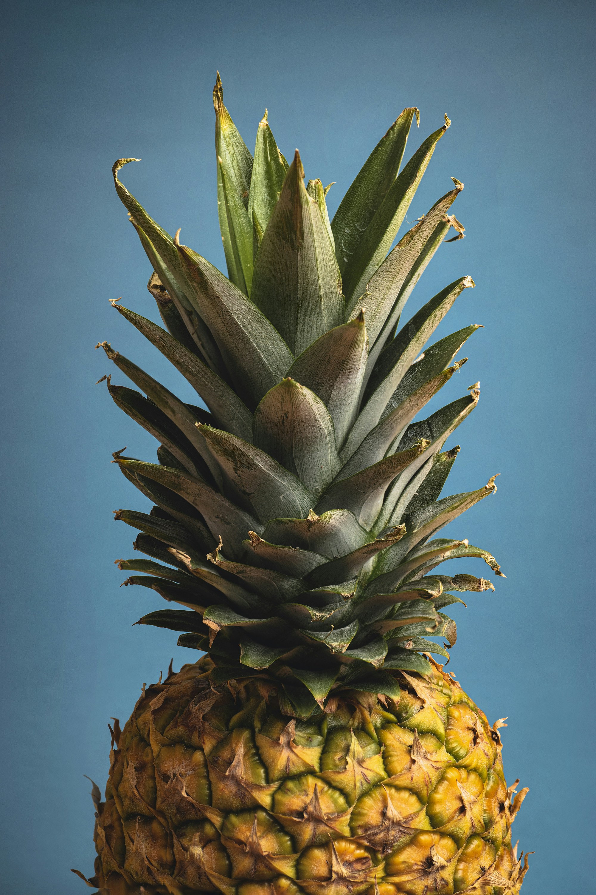 green and brown pineapple fruit