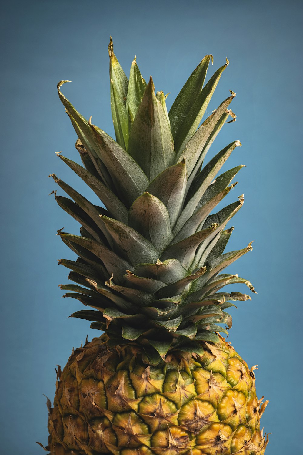 green and brown pineapple fruit