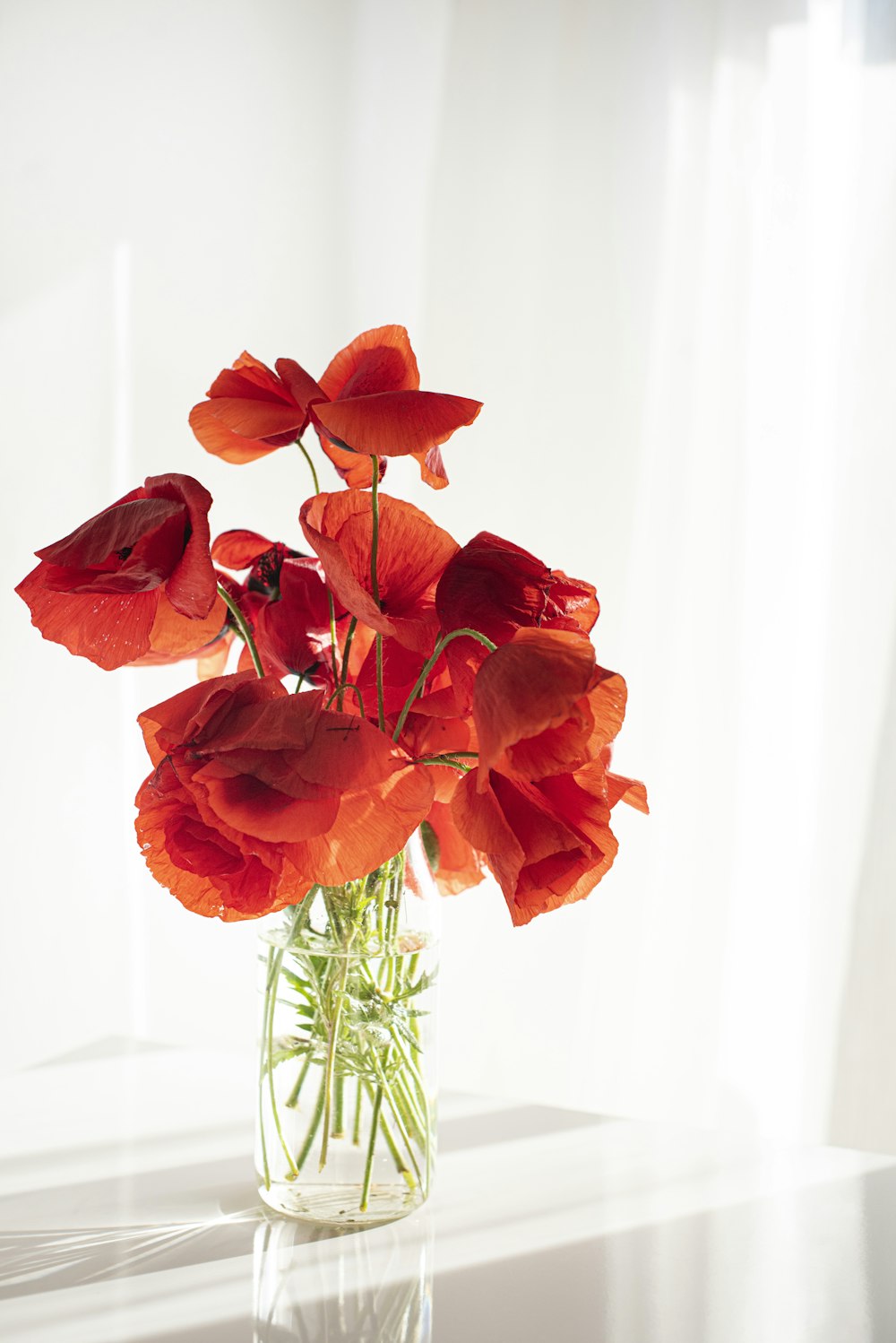 orange flower on white ceramic vase