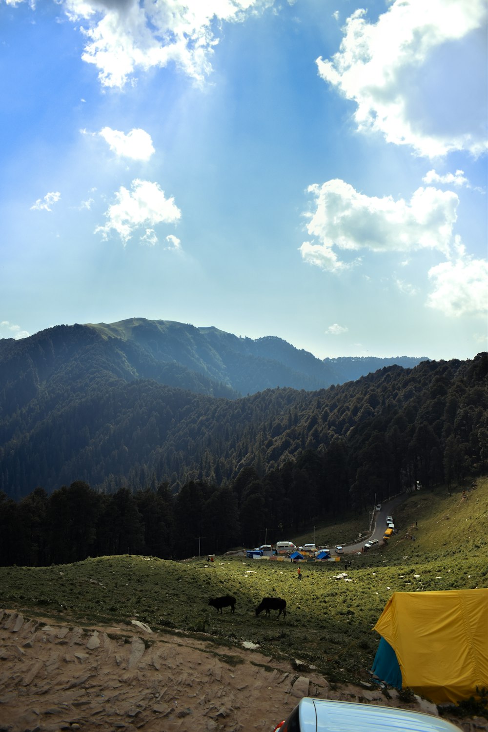 green trees and mountains under blue sky and white clouds during daytime