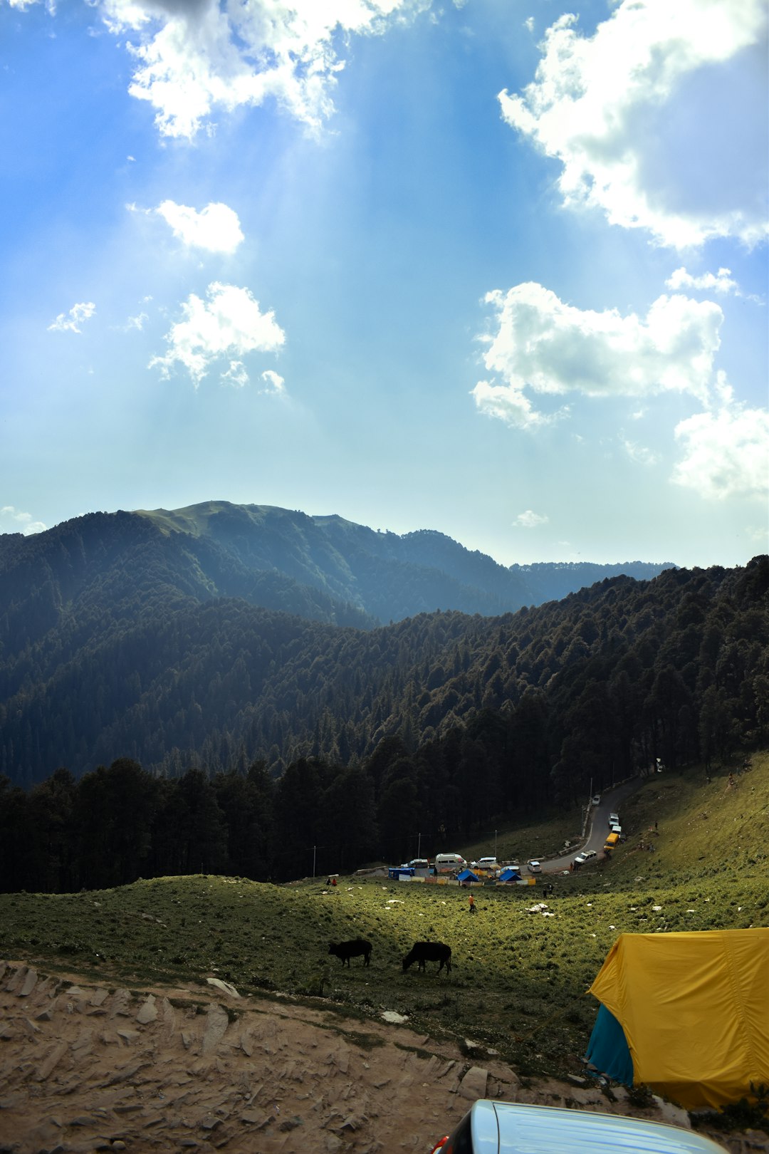 travelers stories about Hill station in Himachal Pradesh, India