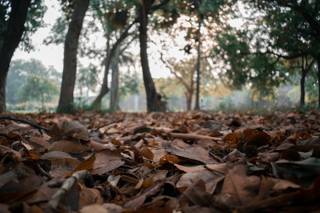 Experience the Aman Aesthetic in Your Own Backyard - Rediscovering… — Experience the Aman Aesthetic in Your