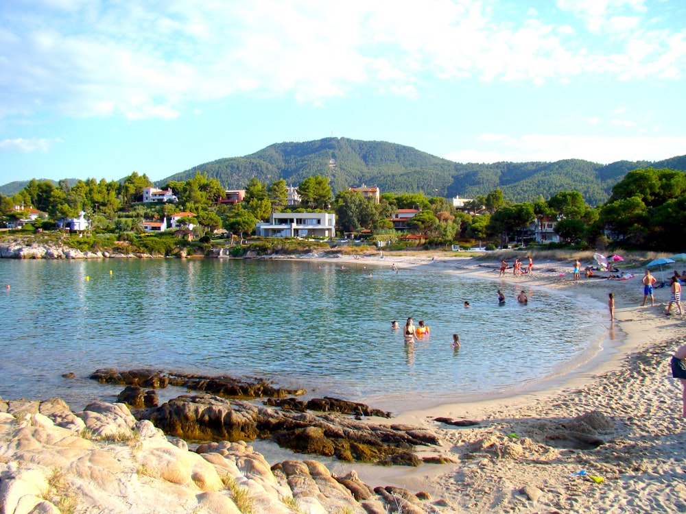 people on beach during daytime