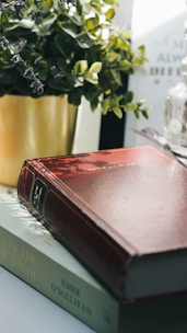 red and black box on white table