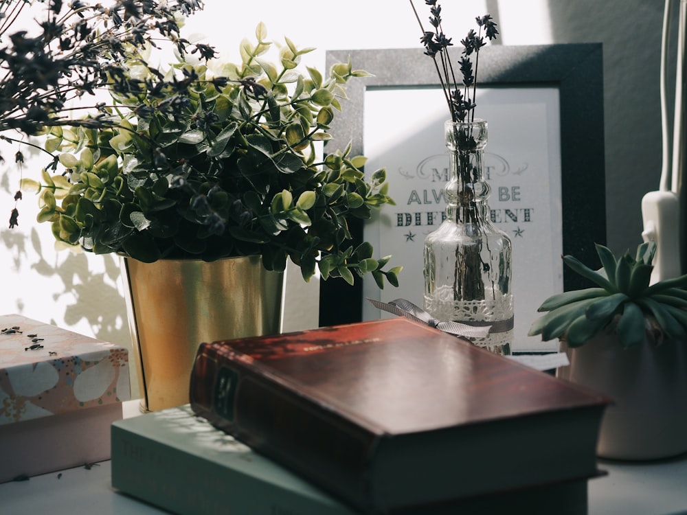 茶色の木製のテーブルに透明なガラスの花瓶に緑の植物