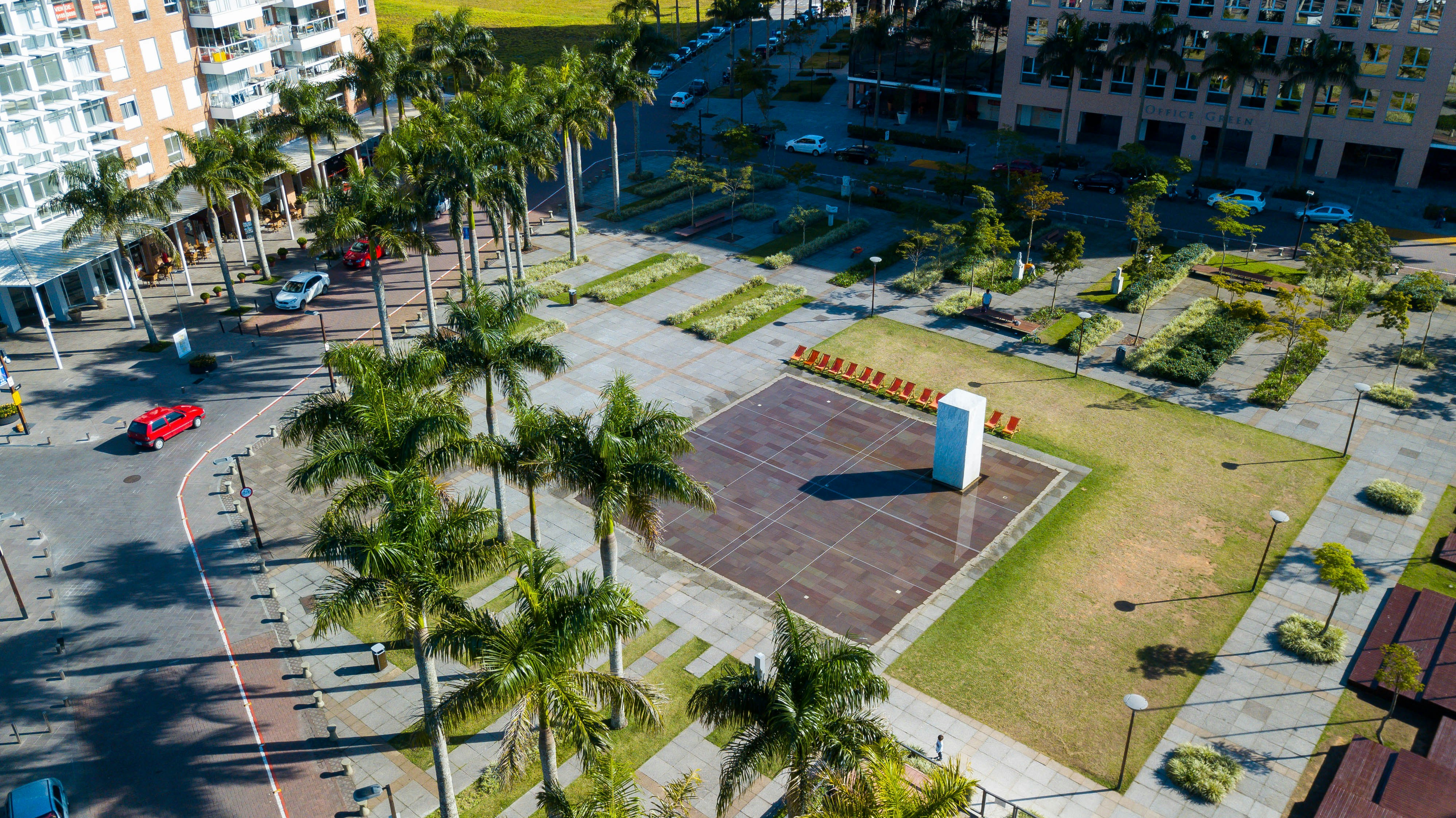 green palm trees near swimming pool during daytime