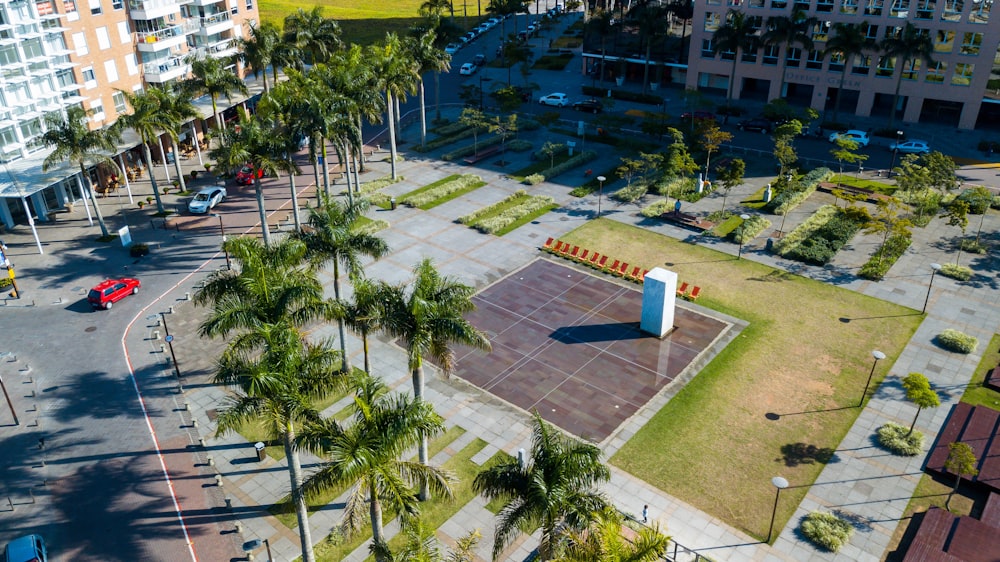 green palm trees near swimming pool during daytime